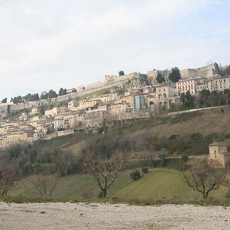 B&B La Collina Degli Ulivi 시비텔라델토론토 외부 사진