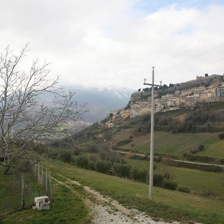 B&B La Collina Degli Ulivi 시비텔라델토론토 외부 사진