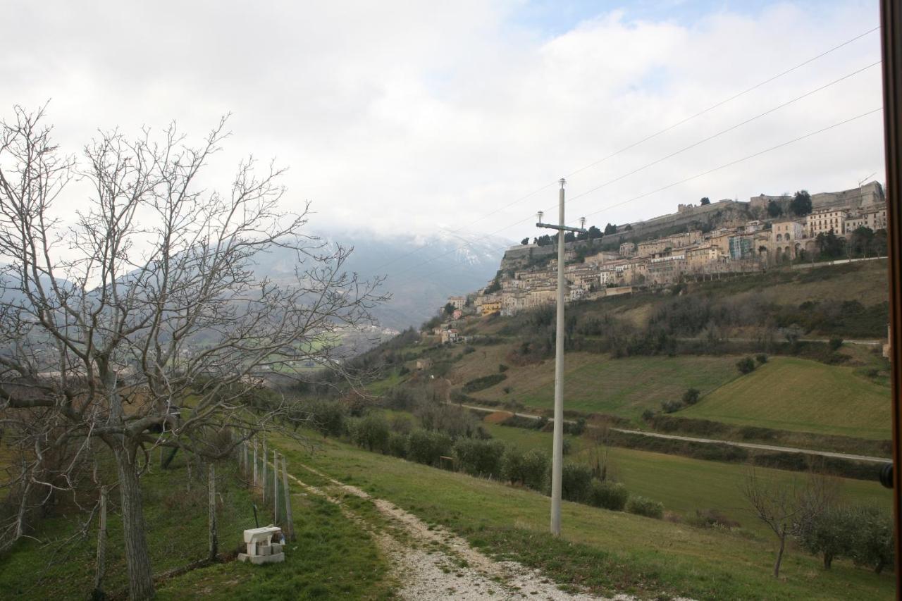 B&B La Collina Degli Ulivi 시비텔라델토론토 외부 사진